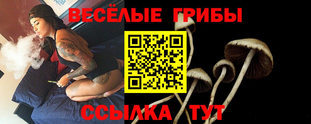 Галлюциногенные грибы ЛСД  наркотики  Лыткарино  Вход с VPN 