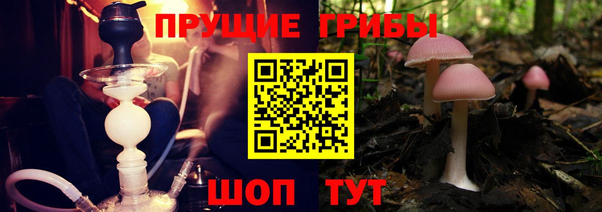 Галлюциногенные грибы Cubensis Лыткарино